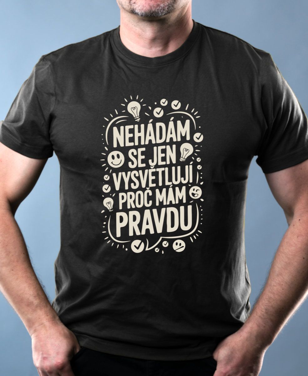 Nehádám se,Jen Vysvětluji Proč Mám Pravdu