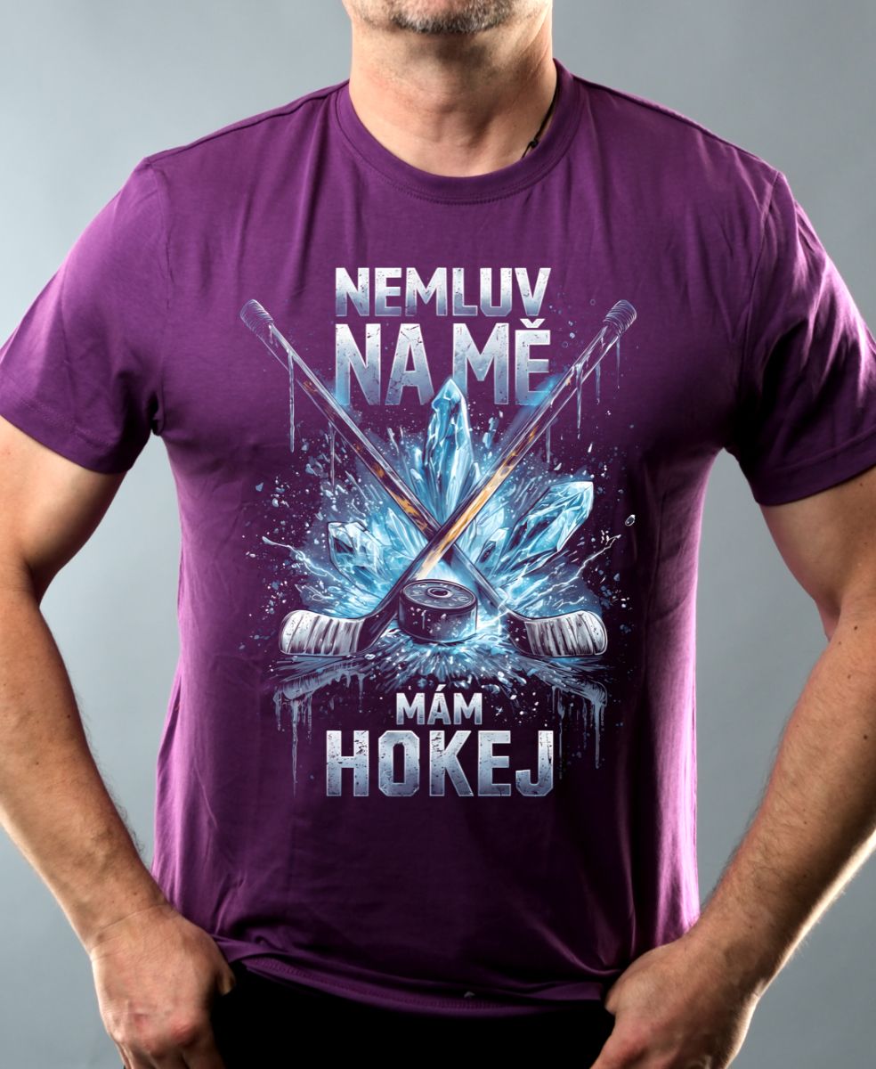 Nemluv na mě mám hokej