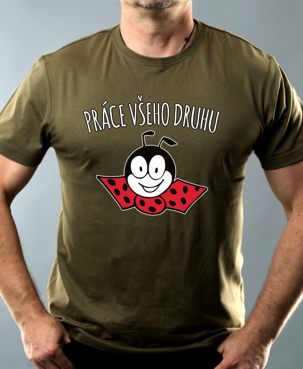 Práce všeho druhu, Ferda mravenec