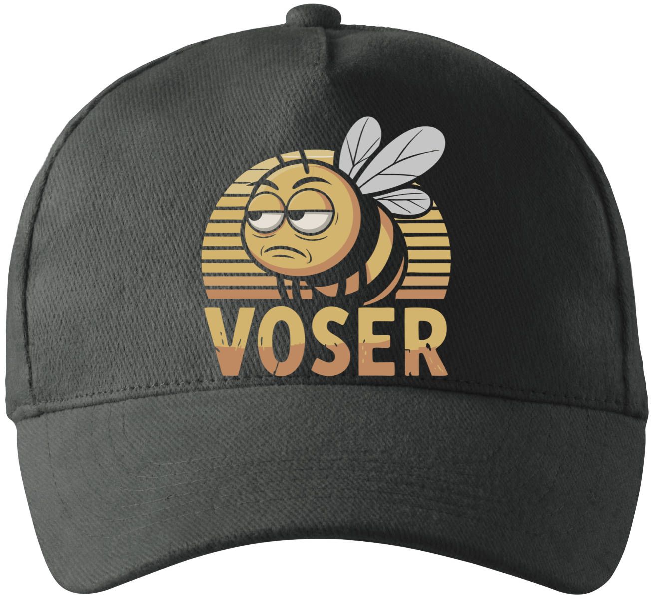 VOSER