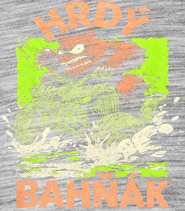 Hrdý bahňák Hrdý bahňák - Obrázek 2