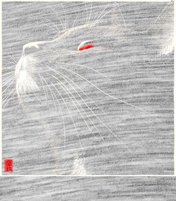 Kočičí hypnóza Kočičí hypnóza - Obrázek 2