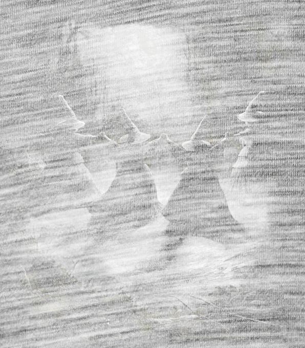 Rituál v temném lese Rituál v temném lese - Obrázek 2