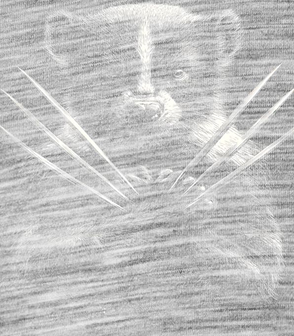 Rosomák s klády Rosomák s klády - Obrázek 2