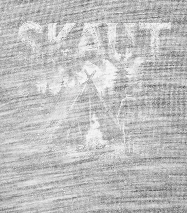 Skaut Skaut - Obrázek 2