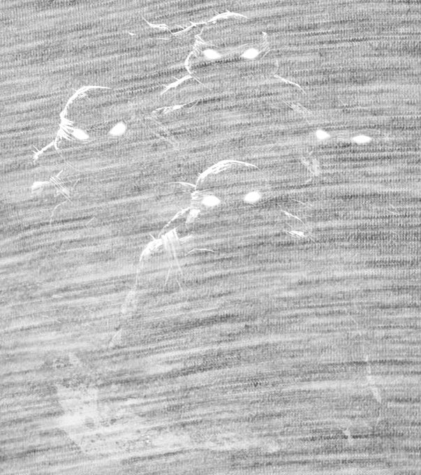 Temní mutanti, bílý tisk Temní mutanti, bílý tisk - Obrázek 2