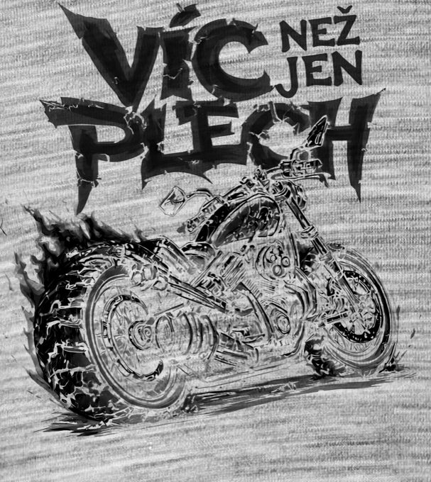 Víc než jen plech, černý tisk Víc než jen plech, černý tisk - Obrázek 2