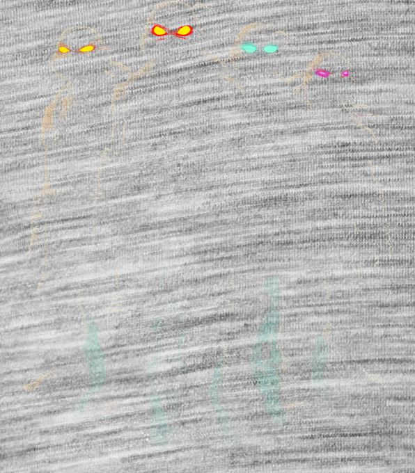 Želví bratrstvo Želví bratrstvo - Obrázek 2