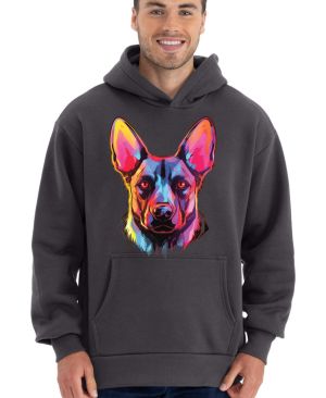 Belgický ovčák V1