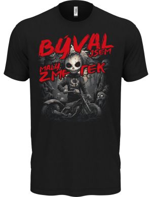 Býval jsem malý ZMETEK