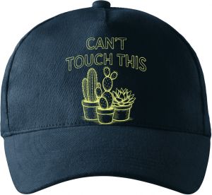 Can't Touch This