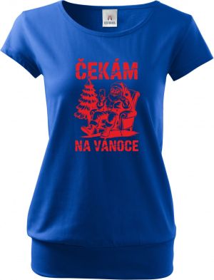 Čekám na Vánoce