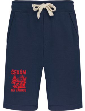 Čekám na Vánoce