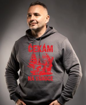 Čekám na Vánoce