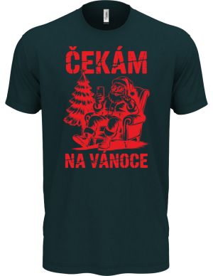 Čekám na Vánoce