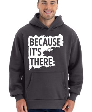 Climbing, Because It's There, V2