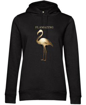 Flamazing, plameňák