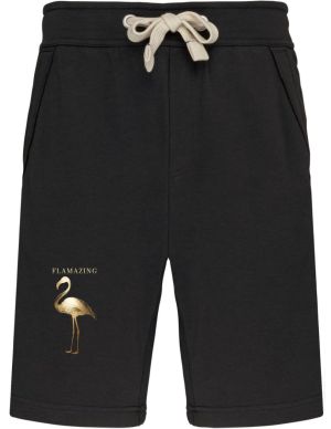 Flamazing, plameňák