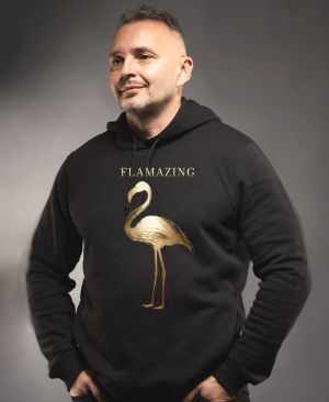 Flamazing, plameňák