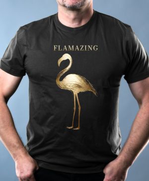 Flamazing, plameňák