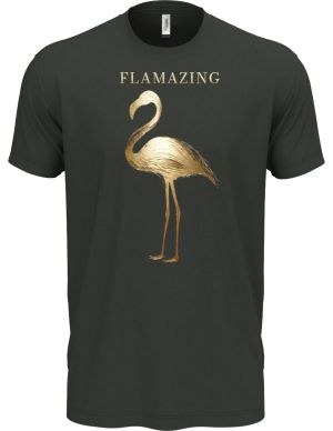 Flamazing, plameňák