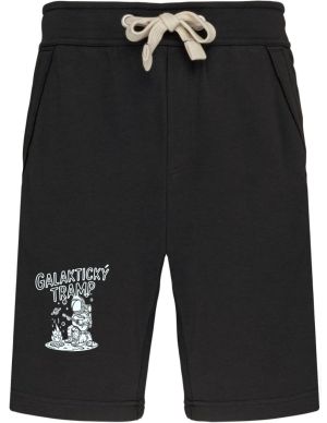 Galaktický tramp, V2