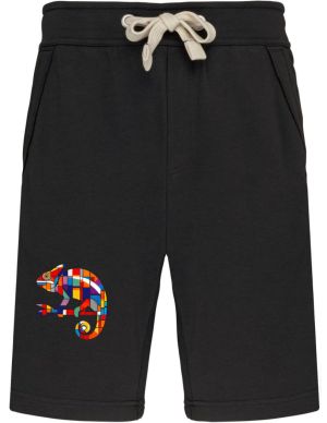 Geometrický chameleon