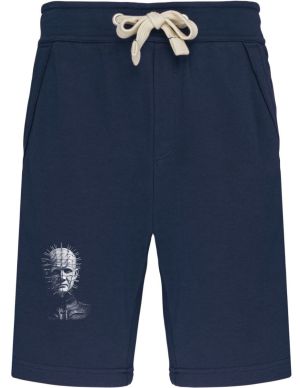 Hlava s jehlami, V2