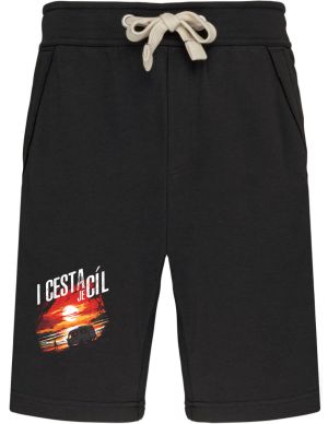 I cesta je cíl, KARAVAN, hory volají, V1