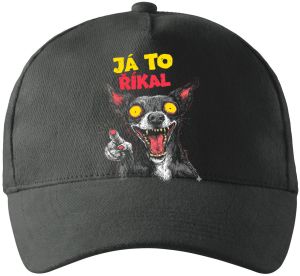 Já to říkal