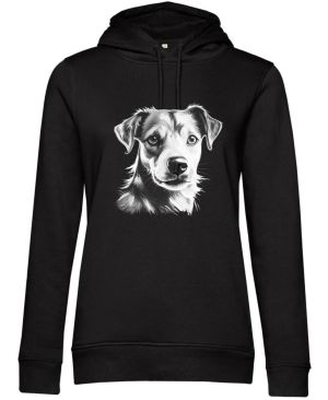 Jack-russell teriér, bílý tisk