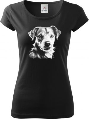 Jack-russell teriér, bílý tisk