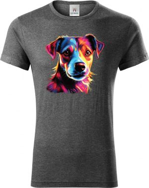 Jack Russell terrier, V1