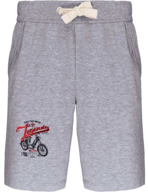 Jawa 50/550 Pařez, Legendy techniky, V1