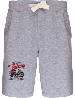Jawa 50, Pionýr, Legendy techniky, V2