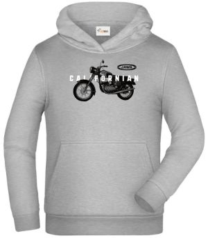 Jawa Californian v8