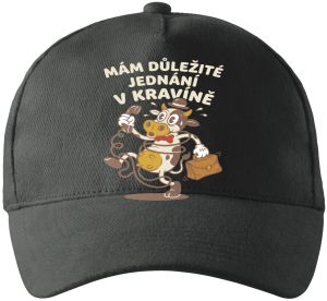 Jednání v kravíně