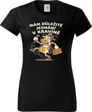 Jednání v kravíně