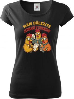 Jednání v kurníku, V1