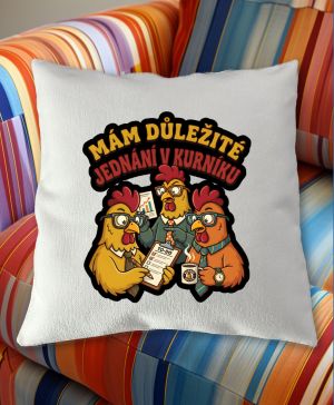 Jednání v kurníku, V1