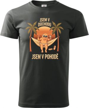Jsem v důchodu, jsem v pohodě V2