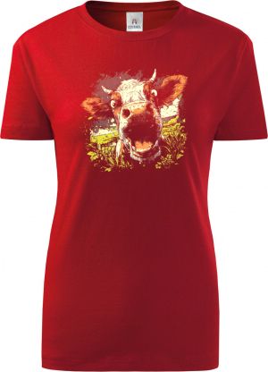 Kráva z pole