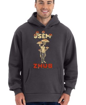Jsem zhub