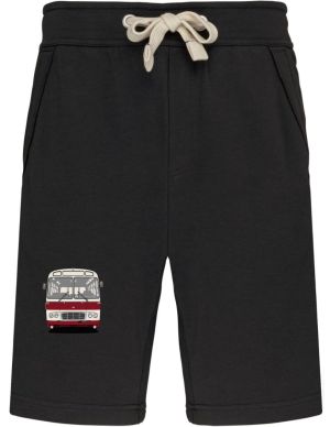 Karosa ŠL11, červená, V6