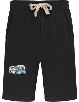 Karosa ŠL11, modrá z boku, V7