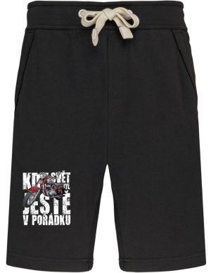 Kdy svět byl ještě v pořádku, JAWA Panelka, V17