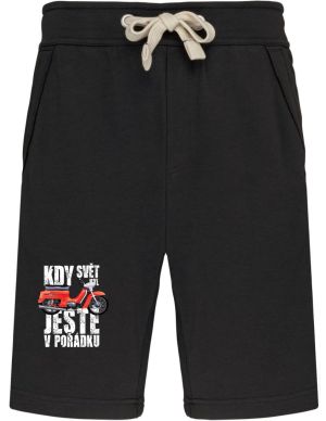 Kdy svět byl ještě v pořádku, JAWA Pionýr, V7