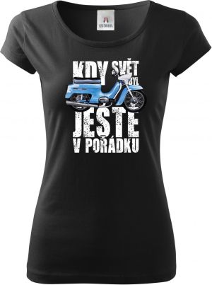 Kdy svět byl ještě v pořádku, Pionýr, V1