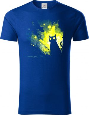 Kočičí galaxie