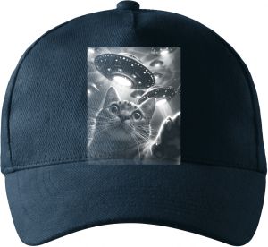 Kočičí únos